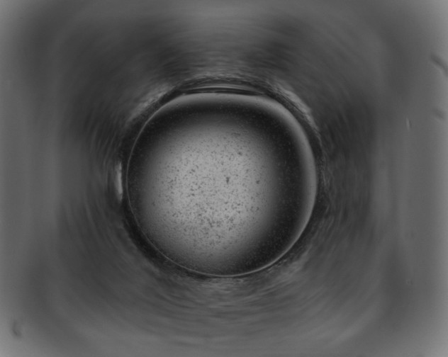 X0000093210020200709261606