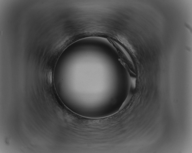 X0000093210021200709261606