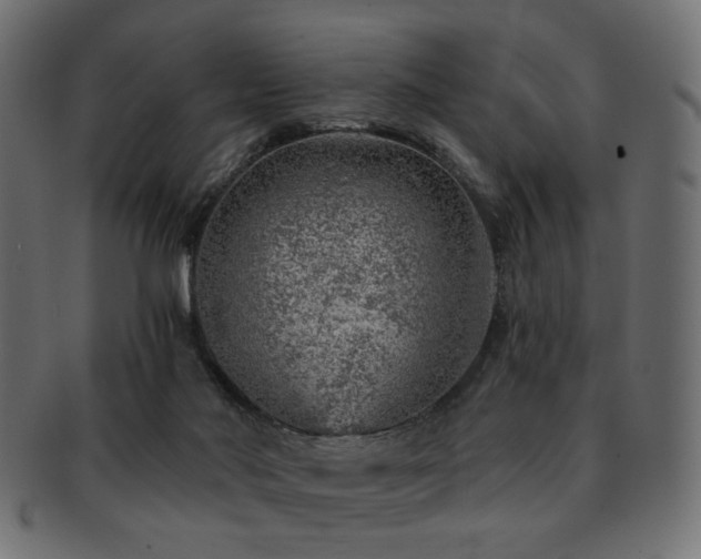 X0000093210022200709261606