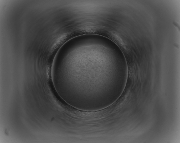 X0000093210023200709261606