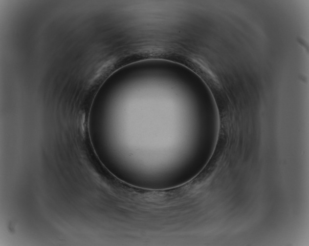 X0000093210024200709261606