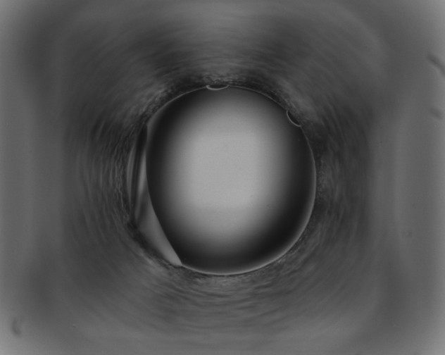 X0000093210025200709261606