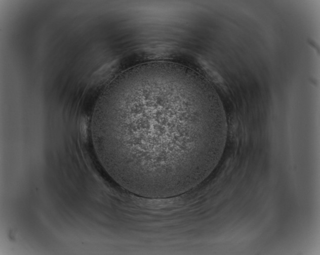 X0000093210026200709261605