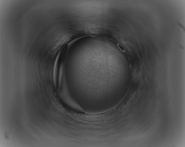 X0000093210027200709261605