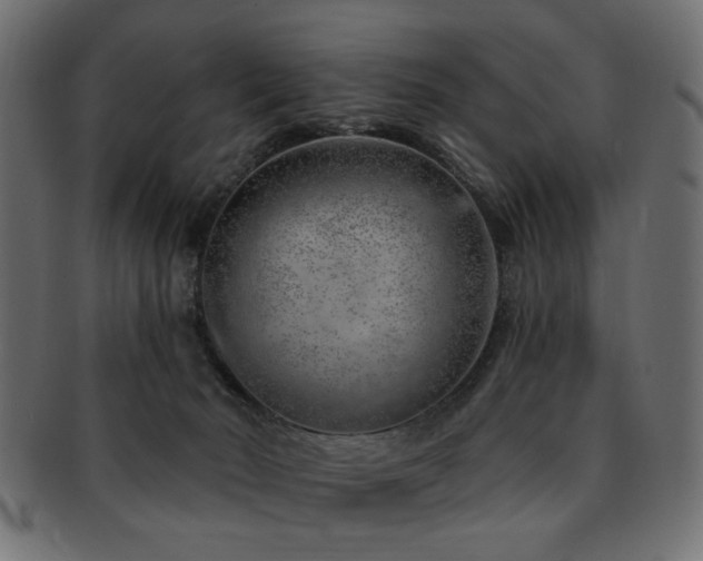 X0000093210030200709261605