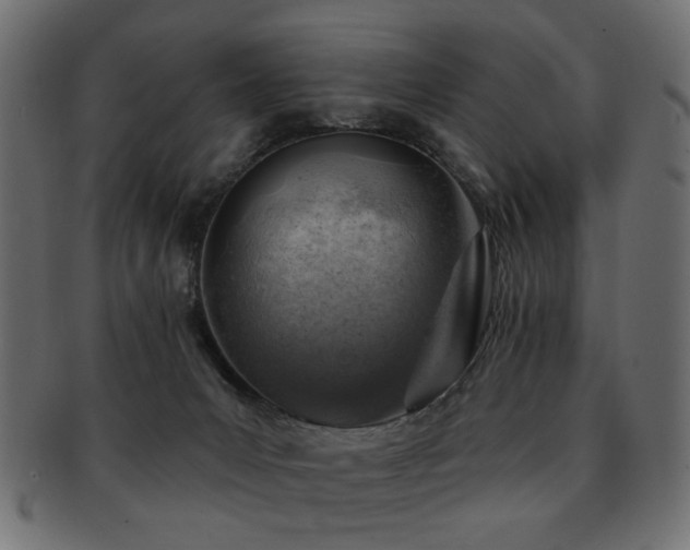 X0000093210031200709261605
