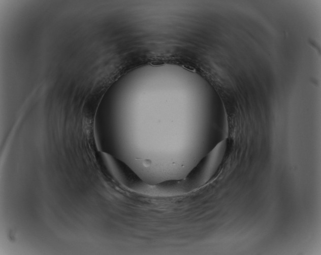 X0000093210033200709261605