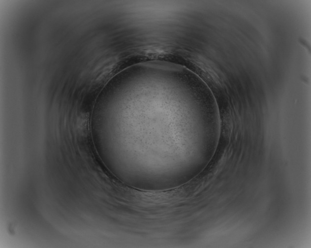 X0000093210034200709261605