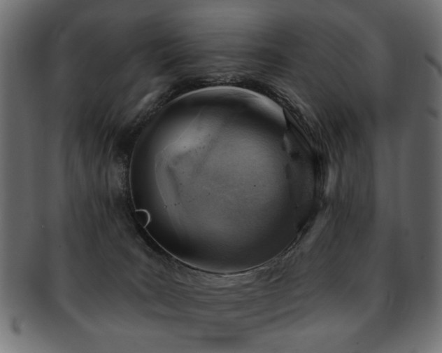X0000093210035200709261605