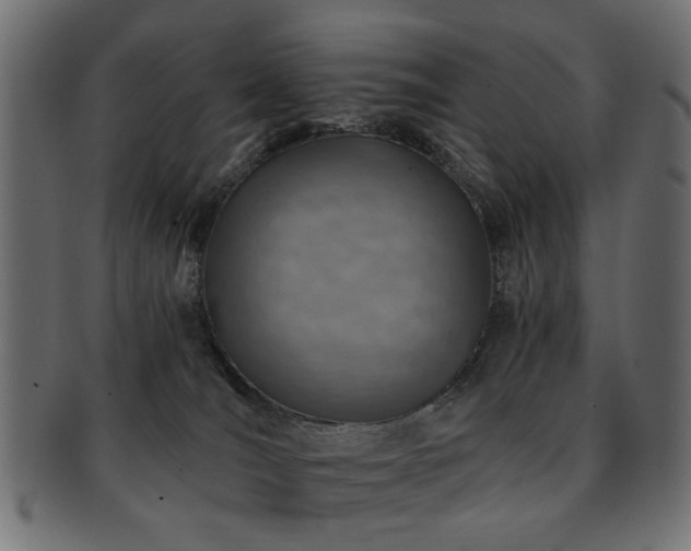 X0000093210036200709261605
