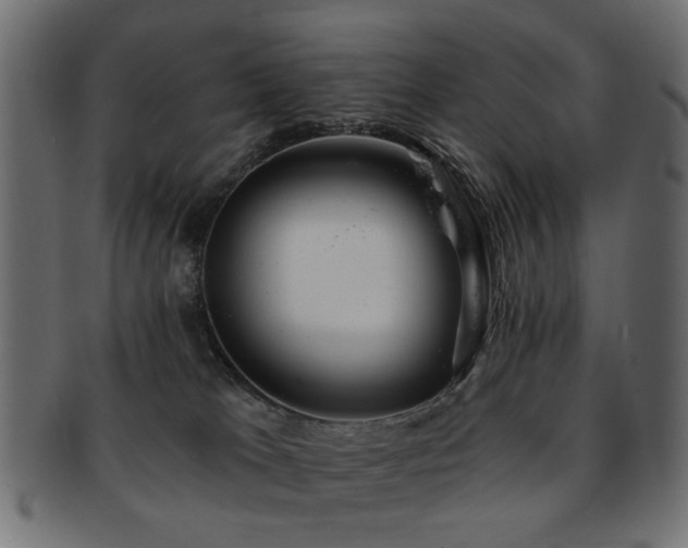 X0000093210037200709261605