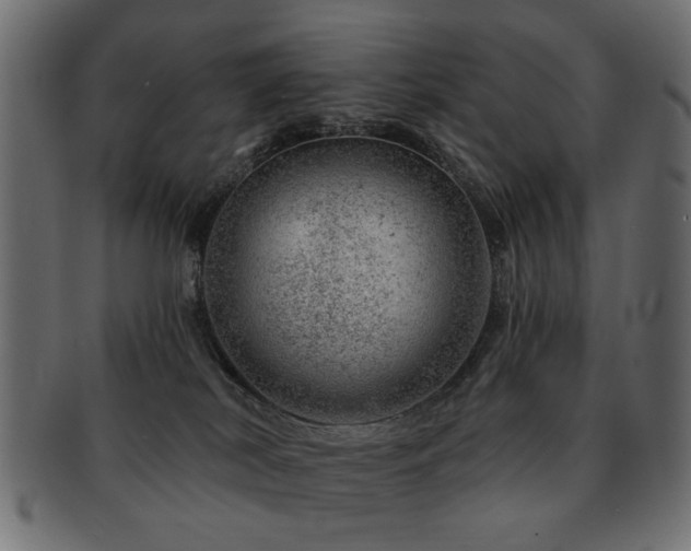 X0000093210038200709261605