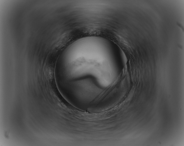 X0000093210039200709261605