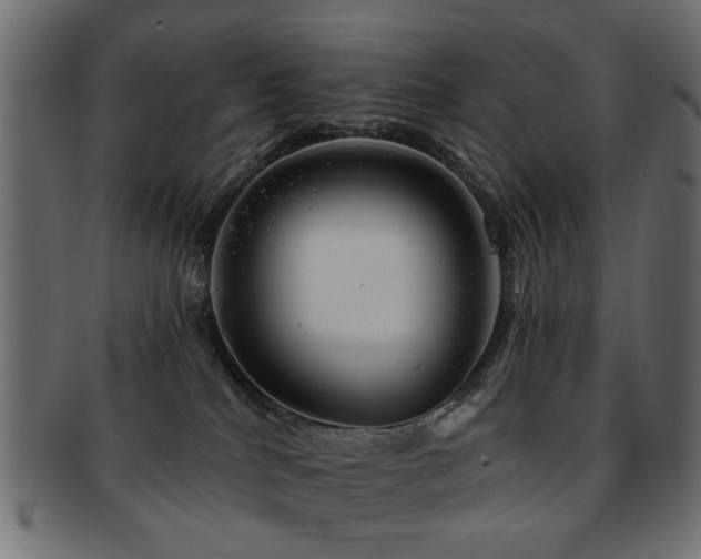 X0000093210040200709261605