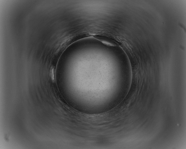 X0000093210042200709261605