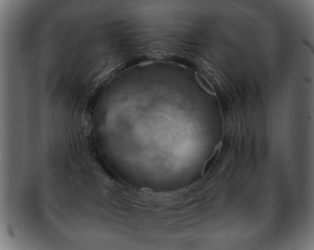 X0000093210043200709261605