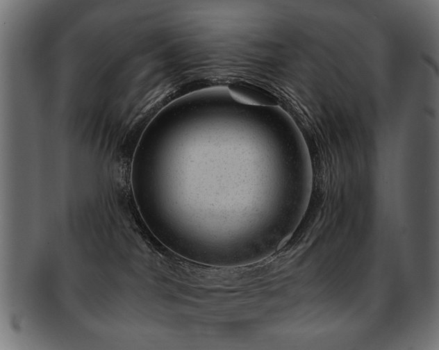 X0000093210044200709261605