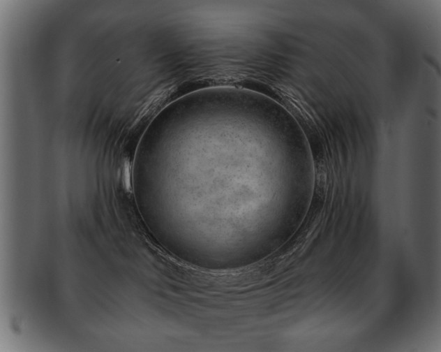 X0000093210046200709261605