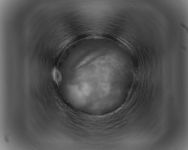 X0000093210047200709261605