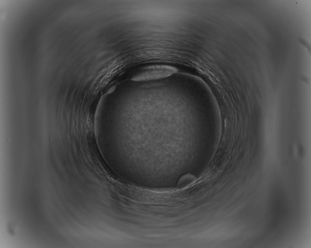 X0000093210048200709261605