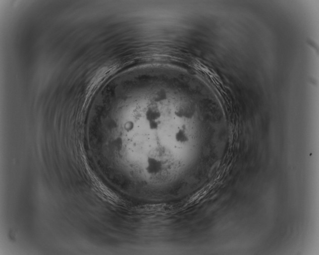 X0000093210049200709261604