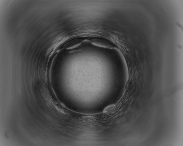 X0000093210050200709261605