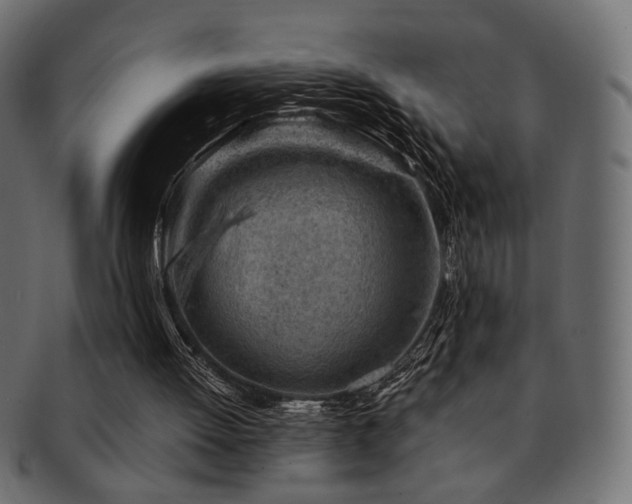 X0000093210052200709261605