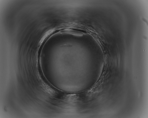 X0000093210054200709261605