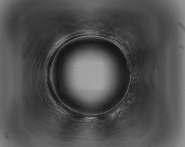X0000093210055200709261605
