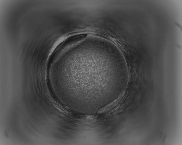 X0000093210056200709261605