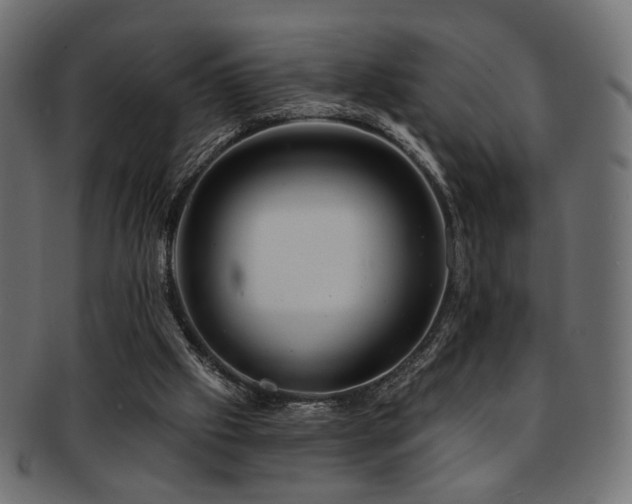 X0000093210057200709261605