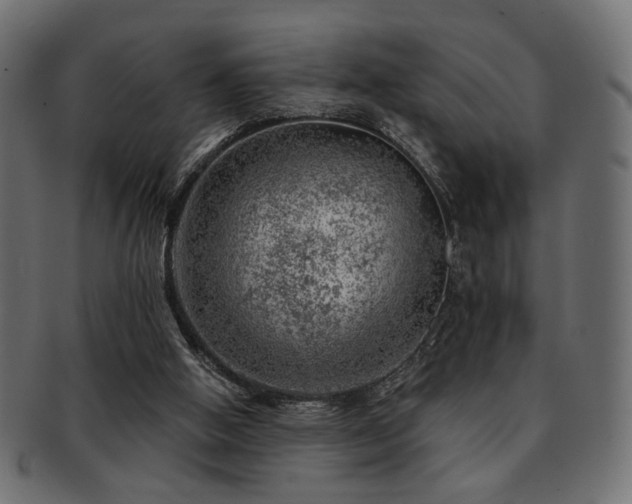 X0000093210058200709261605