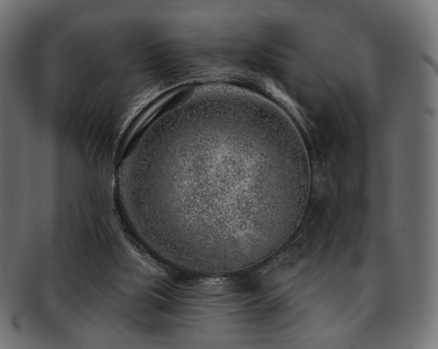 X0000093210059200709261605