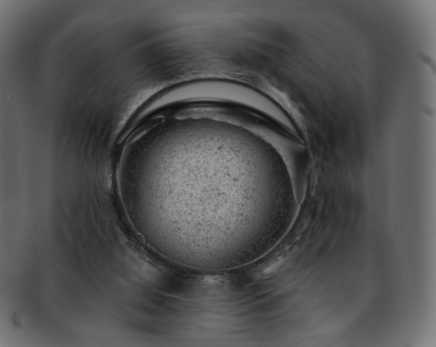 X0000093210060200709261605