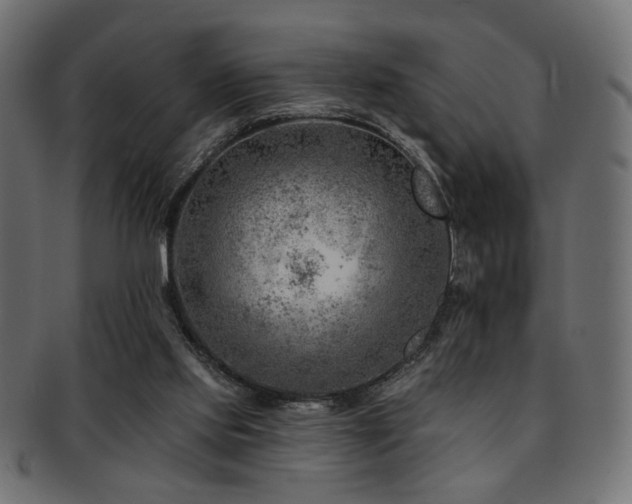 X0000093210061200709261605