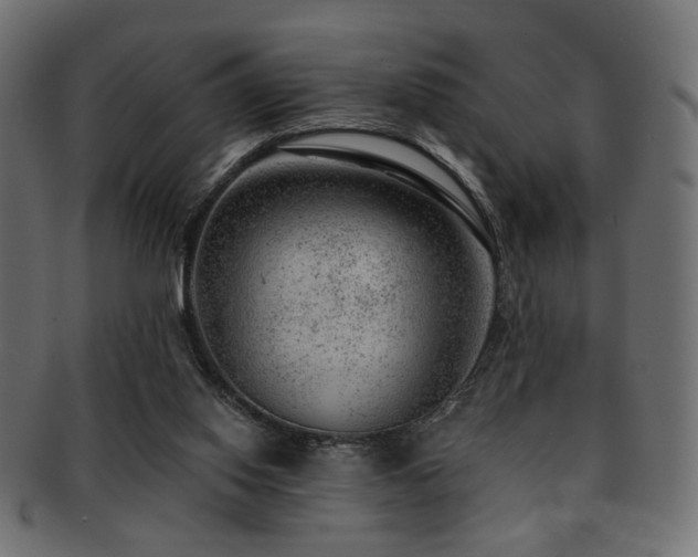 X0000093210062200709261605