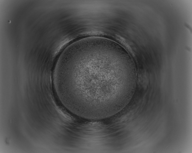 X0000093210063200709261605
