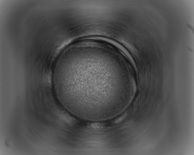 X0000093210064200709261605
