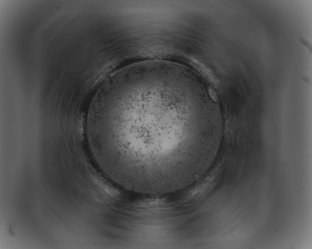 X0000093210065200709261605