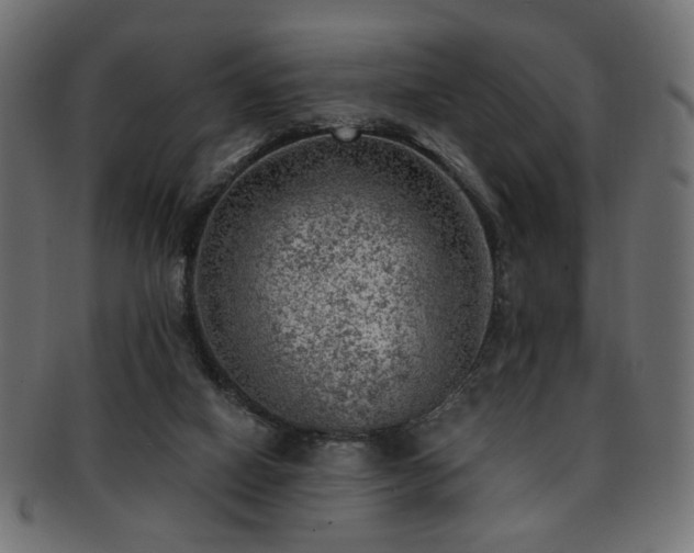 X0000093210066200709261605