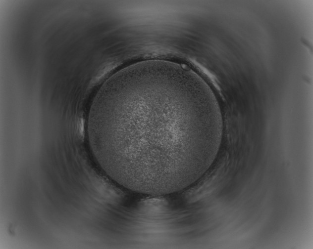 X0000093210067200709261605