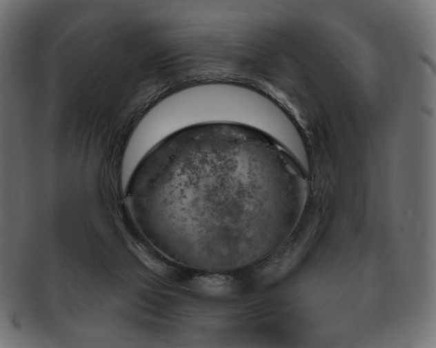 X0000093210069200709261605