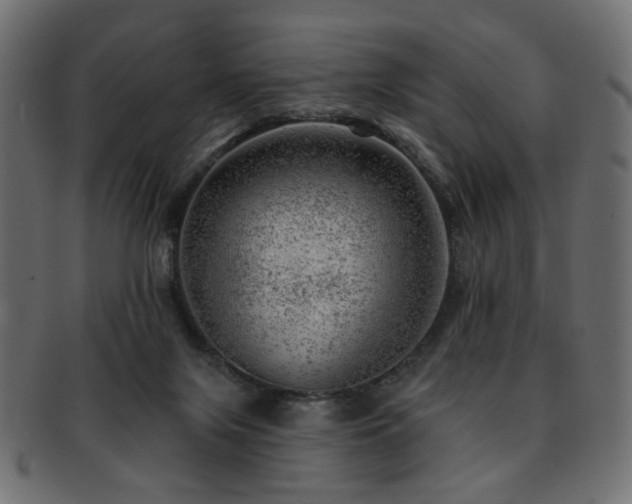 X0000093210071200709261605