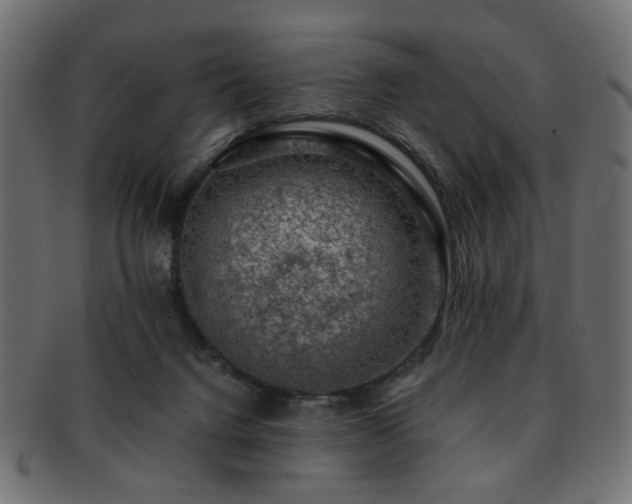 X0000093210072200709261605