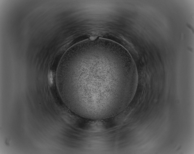 X0000093210075200709261605