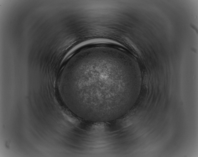 X0000093210076200709261605