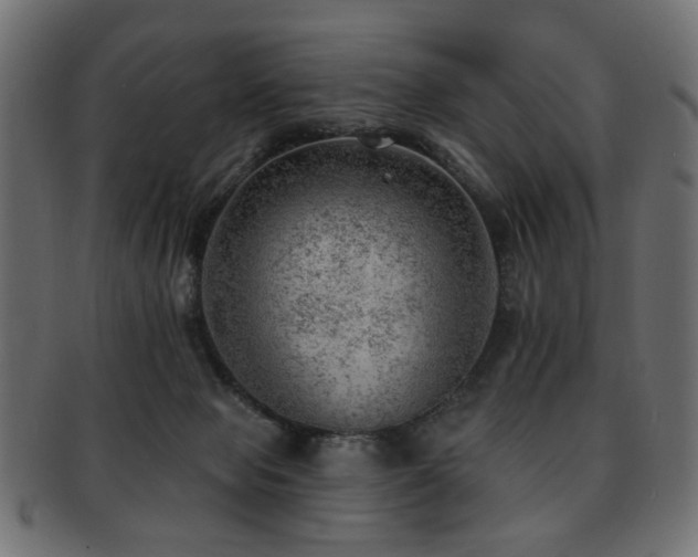X0000093210077200709261605