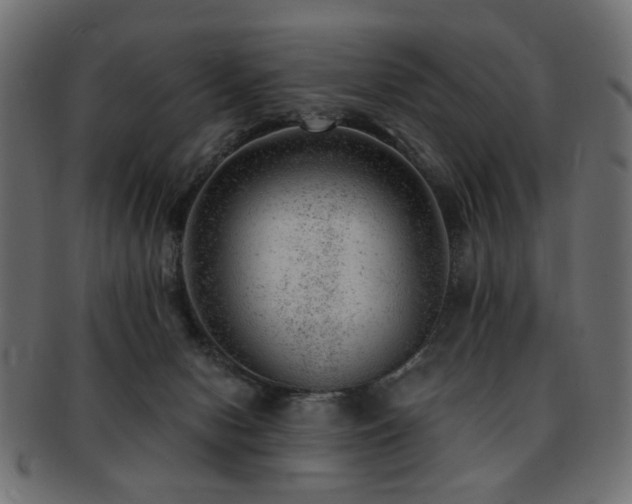 X0000093210078200709261605