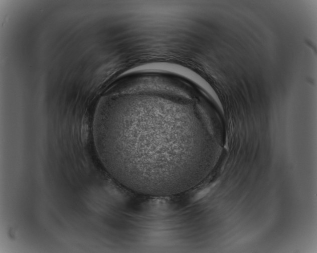 X0000093210080200709261605