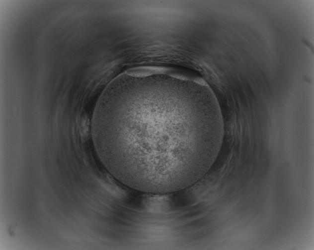 X0000093210081200709261605